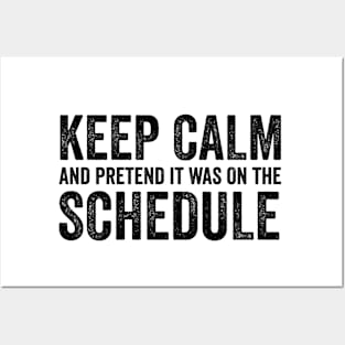 Keep Calm and Pretend It's on the Schedule shirt, Vetmed shirt, Work Life Posters and Art